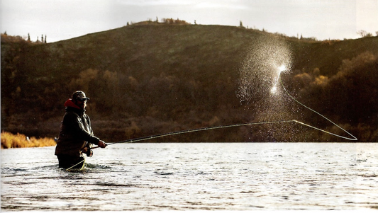 Images in Stonefly Magazine