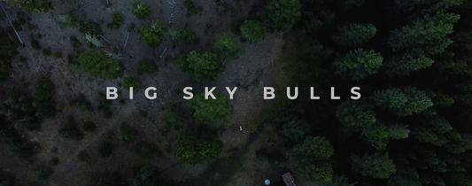 Big Sky Bulls