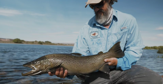 Patagonia, Argentina - Lodge Promotions