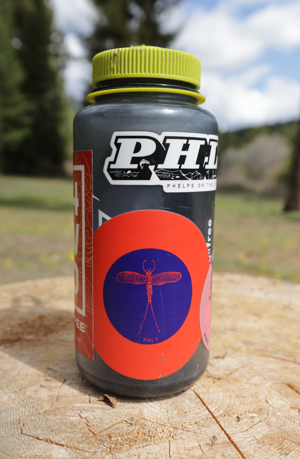 Fishman Spinner Sticker