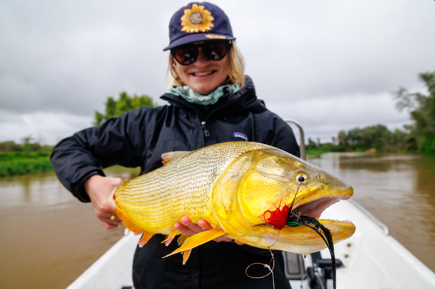 Golden Dorado Mosca Fly