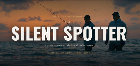 Silent Spotter