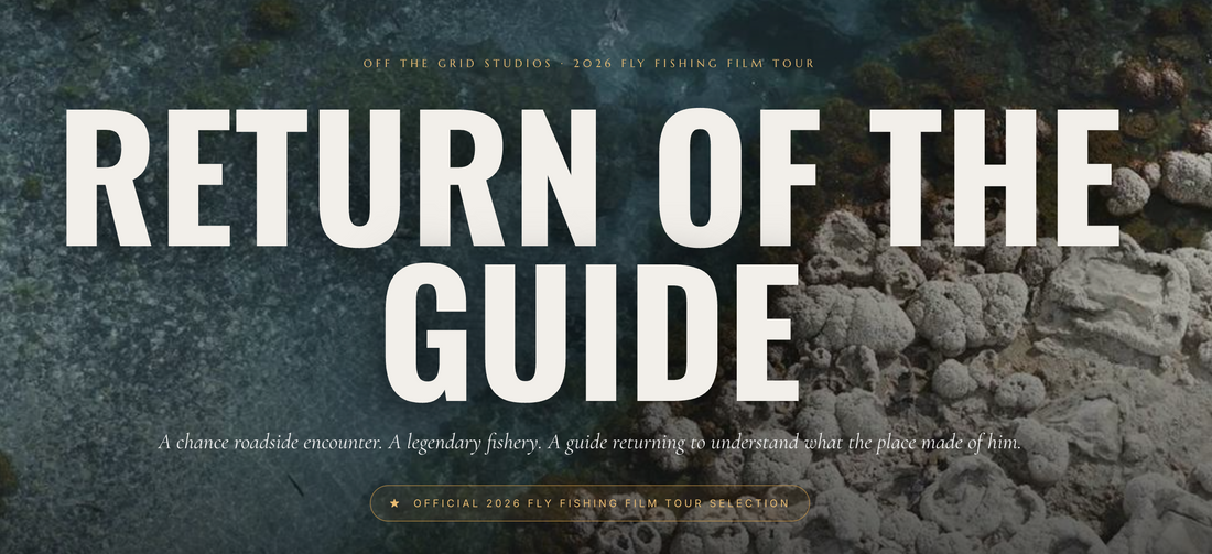 Return of the Guide